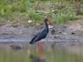 Einweihung Biotopgelände in Köditz am 30.06.2013