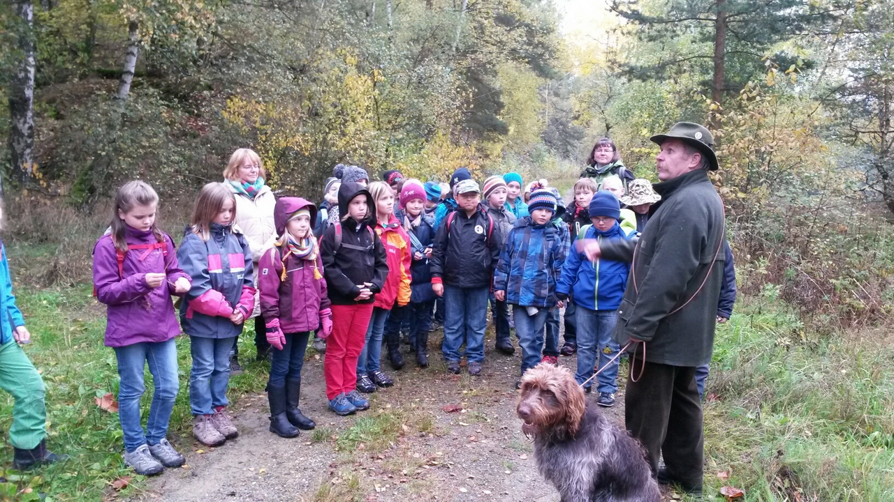 Natur erleben und begreifen