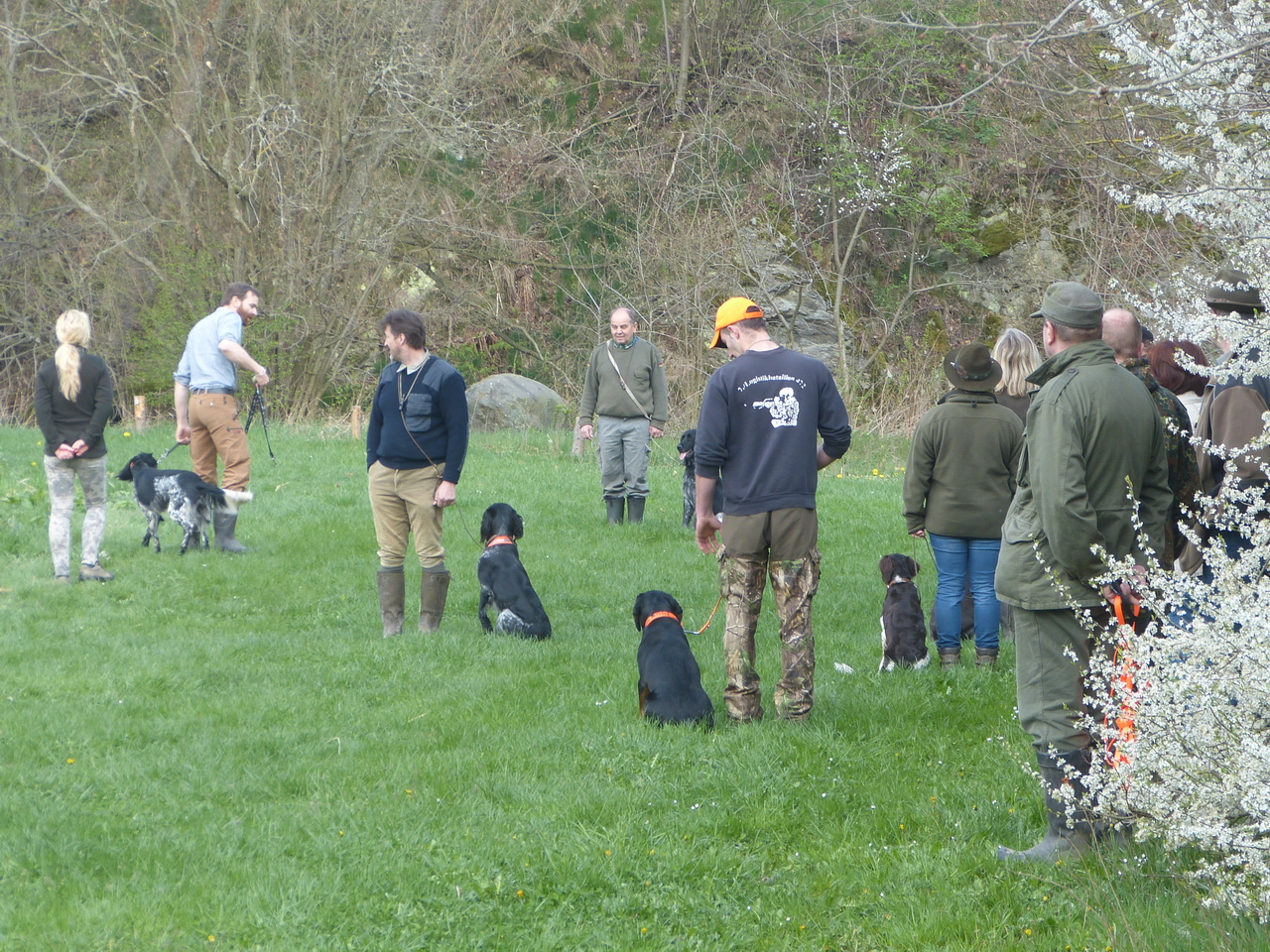 Jagdhundeausbildung am 13.04.2014