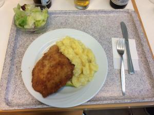 20170705 02 schnitzel-landtag